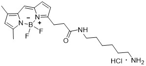 bodipy-fl-amine